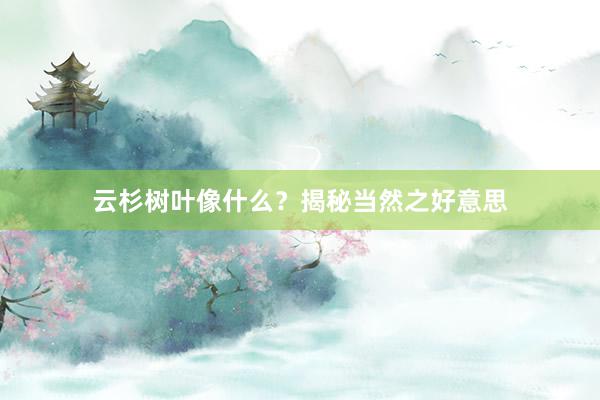 云杉树叶像什么？揭秘当然之好意思