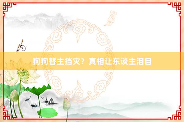 狗狗替主挡灾？真相让东谈主泪目