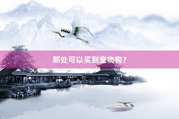 那处可以买到宠物狗？