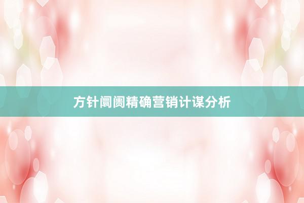 方针阛阓精确营销计谋分析